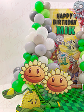 Load image into Gallery viewer, Plants vs Zombies