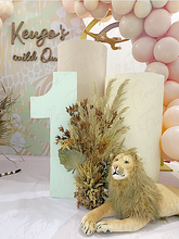 Load image into Gallery viewer, Wild ONE